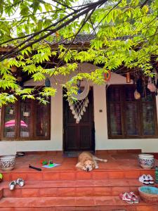 a dog laying on the ground in front of a house at Bodhi Beach House Kannur in Kannur