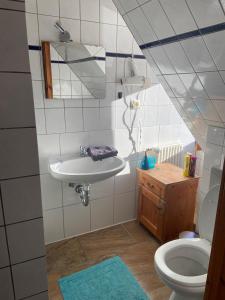 Zirndorf Gästehaus في تسيرندورف: حمام مع حوض ومرحاض