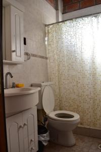 Quinta Los Sauces في سان نيكولاس دي لوس أرويوس: حمام مع مرحاض ومغسلة ودش