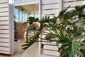 een veranda met planten en een wit hek bij Vintage & Deluxe Apartments in Puerto del Rosario