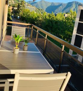 eine Holzterrasse mit zwei Pflanzen auf einem Balkon in der Unterkunft BRIGHT in Lugano