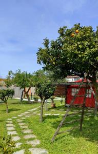 an orange tree with a ladder next to a house at La Famiglia in Pollena Trocchia