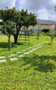 a stone path in a field with an orange tree at La Famiglia in Pollena Trocchia