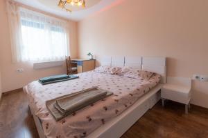 1 dormitorio con 1 cama grande en una habitación en Cozy Apart TOP Center AUBG Free Garage Park, en Blagoevgrad