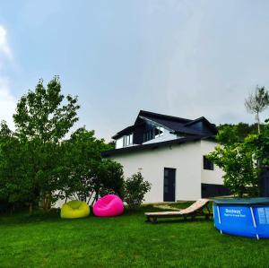 克利默内什蒂UpForest Guesthouse的前面草丛里有三个球的房子