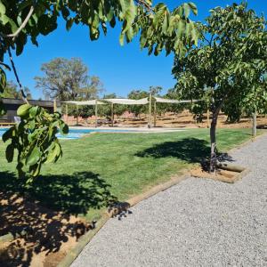 a garden with a pool and a tree at Cabañas Pachamama Casablanca in Casablanca