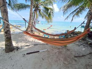 a hammock on a beach with palm trees and the ocean at Bella Marcela in Buenavista