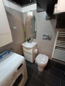 a small bathroom with a toilet and a sink at La Casina Pallacorda in Prato