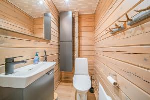 a bathroom with a sink and a toilet at Levillas Lammaskuru A in Levi