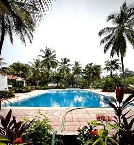 una piscina con palmeras en un complejo en Villa 17 Luisa by the Sea, en Margao