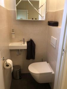 ein Badezimmer mit einem WC, einem Waschbecken und einem Spiegel in der Unterkunft B&B De Esdoorn in Norg
