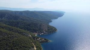 Imagen de la galería de Apartments Hanna, en Gdinj 65 fotos más