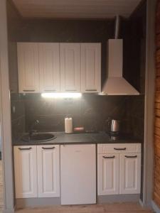 Kuchyň nebo kuchyňský kout v ubytování Rägavere tee 16 Apartment