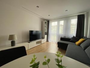 sala de estar con sofá y TV en Apartament FANCY, en Kielce