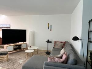 ein Wohnzimmer mit einem Sofa und einem Flachbild-TV in der Unterkunft Appartement Style Loft/Lumineux in Lutry