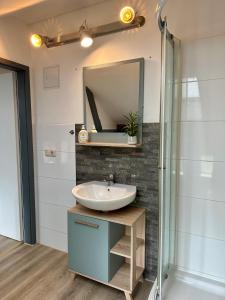 a bathroom with a sink and a shower at Apartment Zum grünen Hirsch inkl. Parkplatz in Erfurt