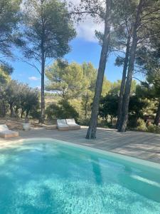 una piscina en un patio con árboles en Le Cigalon, en Le Beausset