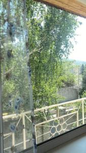 a window with a view of a tree and a fence at Room in the house, with mountain views and squirrels in the yard in Almaty