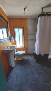 a bathroom with a sink and a toilet and a shower at Pies a tierra in Coihaique