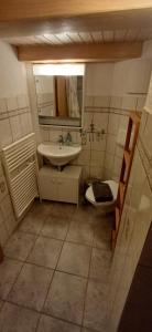 アンデルマットにあるCharming Swiss Chalet Andermattのバスルーム(洗面台、トイレ、鏡付)