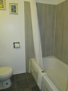 a bathroom with a toilet and a tub and a sink at Edgewater Motel and Campground in Temiskaming Shores +14 photos