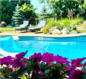 a swimming pool with purple flowers in front of it at Pittsford Garden Retreat in Pittsford