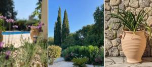 twee foto's van een grote vaas met bloemen in een tuin bij Villa Kalokairi in Áfra