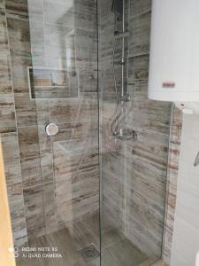 a shower with a glass door in a bathroom at Kuca za odmor Milica in Vrnjačka Banja +24 photos