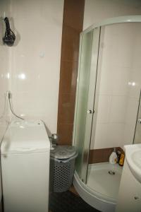 a small bathroom with a sink and a shower at Diana's Apartment in Braşov