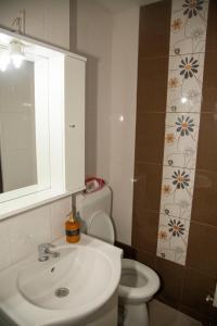 a bathroom with a sink and a toilet at Diana's Apartment in Braşov