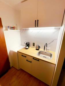 una pequeña cocina con fregadero y encimera en Savón - City Apartment, en Bad Oeynhausen