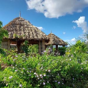 dos cabañas con techo de paja en un campo de flores en KIJIJI VILLAGE, en Emali