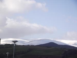 ディングウォールにある6B Church St. Dingwall Apartmentの雪山の景色を望むキノコの木