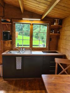 a kitchen with a sink and a window in a cabin at Trekkershut in Wallenborn