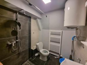 a small bathroom with a toilet and a shower at Vila Suvo vrelo in Jahorina