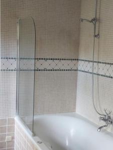 La salle de bains est pourvue d'une baignoire et d'une douche. dans l'établissement Kasteel Sint-Flora, à Furnes