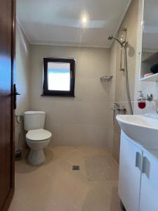 a bathroom with a toilet and a sink at River's house, very good location, free parking! in Sofia