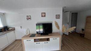 TV a/nebo společenská místnost v ubytování Le studio du Doux