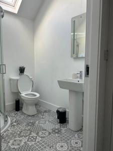 La salle de bains blanche est pourvue de toilettes et d'un lavabo. dans l'établissement A Village Gem, à Mullingar