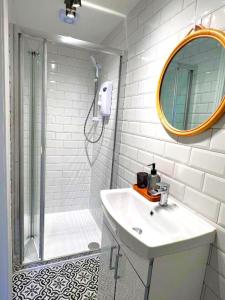 bagno con doccia, lavandino e specchio di Mountain lodge a Dundalk