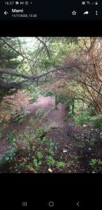 Imagen de la galería de ECO CABAÑA, en Puerto Varas 27 fotos más