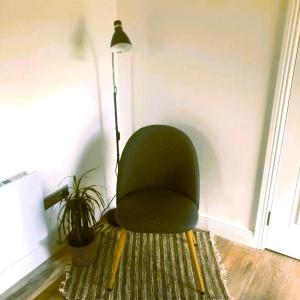 una sedia verde seduta in una stanza con lampada di Mountain lodge a Dundalk