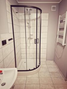 a bathroom with a shower and a sink at Apartamenty Toskania No.2 in Poznań