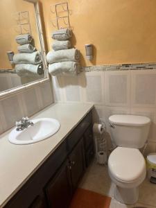 a bathroom with a sink and a toilet and a mirror at Mona Master suite in Kingston