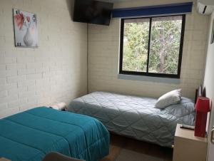 1 Schlafzimmer mit 2 Betten und einem Fenster in der Unterkunft Hostal Rucatremo in Curicó