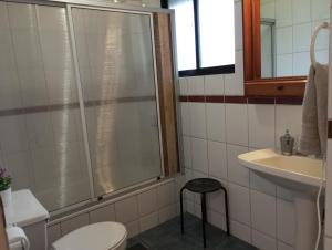 een badkamer met een douche, een toilet en een wastafel bij Hostal Rucatremo in Curicó