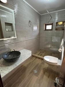 a bathroom with a sink and a toilet at Вила Рафаела-Мартина in Dobrinishte