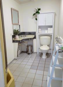 a bathroom with a toilet and a sink at High View Family Cottages in Warrnambool