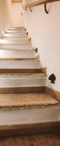 un escalier avec un chat noir assis au sol dans l'établissement Il Maniero, à Grottaglie