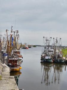 a group of boats docked in a body of water at FroschKönig in Norden